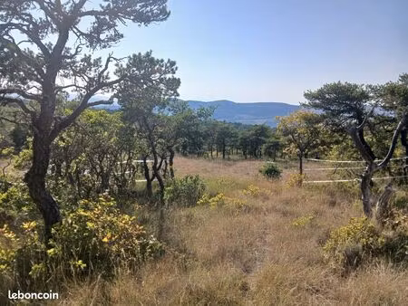 petit domaine forestier