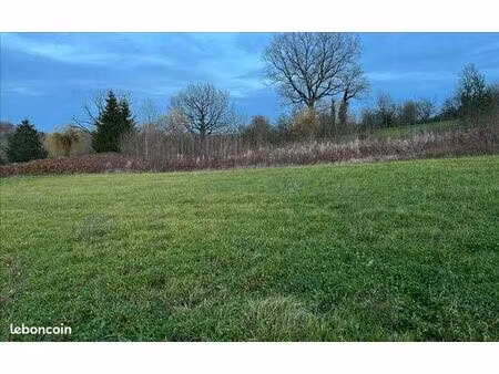 terrain 6 314 m² granges d ans