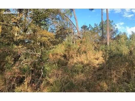 terrain 5 659 m² saint martin de fressengeas