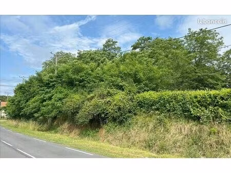 terrain 2 338 m² douzillac