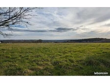 terrain 3 479 m² dussac