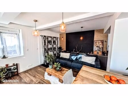 appartement st nizier