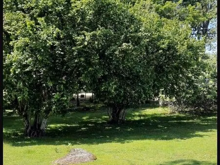 terrain 4 928 m² nontron