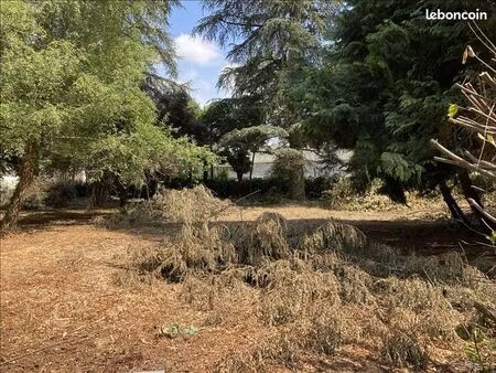 terrain 1 259 m² antonne et trigonant