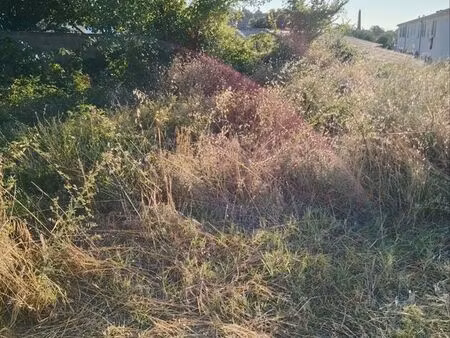 cherche terrain agricole