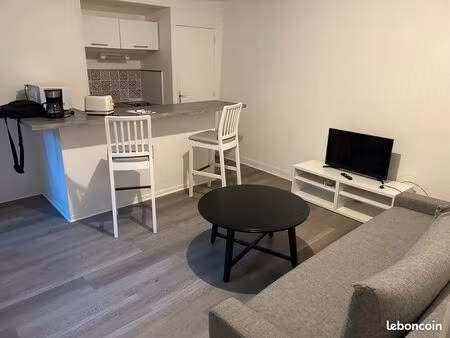 appartement hyper centre entièrement rénové