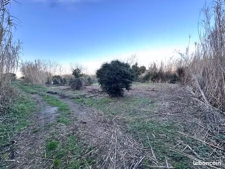 terrain jardin agricole