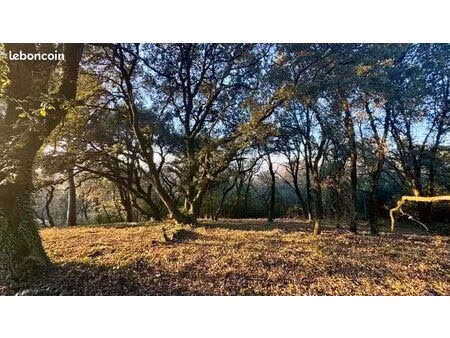 rare : magnifique terrain constructible 2000m2 vue imprenable