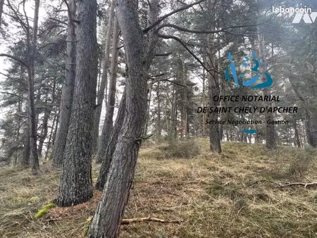 terrain 10343 m² rimeize