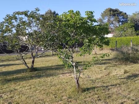 terrain à vendre ychoux 40160 libre de tout constructeur