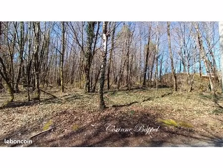 terrain 1996 m² sarliac-sur-l'isle