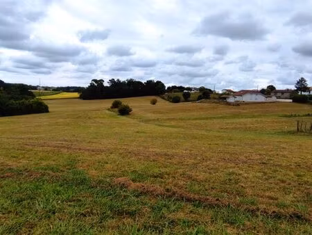 terrain agricole +bois
