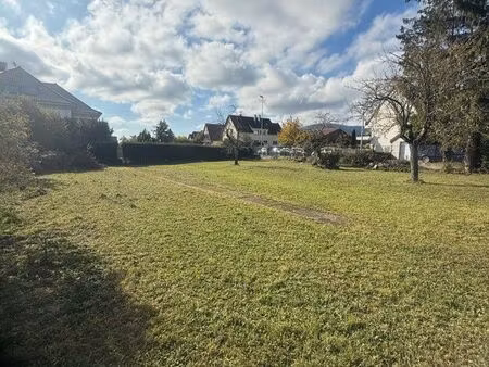 terrain 646m2 obernai centre