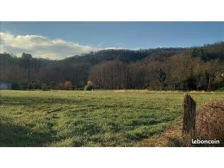 terrain 4 597 m² gagnac sur cere