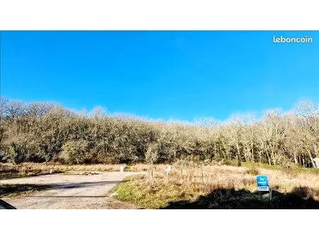 terrain 2 918 m² pradines