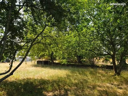 terrain 4 700 m² pissos