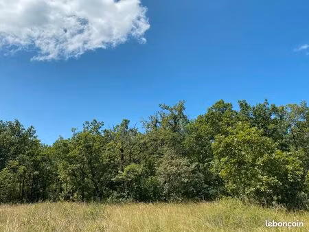 coin de nature préservé – terrain boisé 9 800 m² à lunegarde