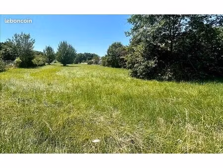 terrain 1 200 m² dieupentale