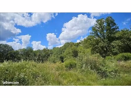 forêt 15 293 m² orcay