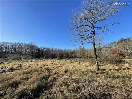 terrain 11 041 m² la ferte imbault