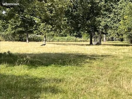 terrain 1 592 m² choussy