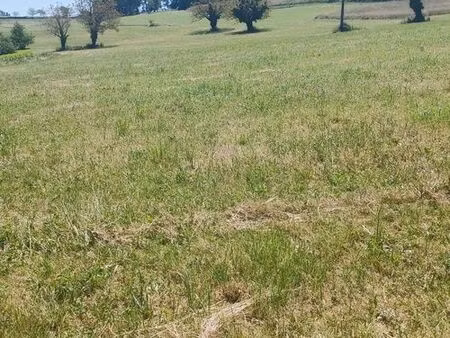 terrain 7350 m² saint-projet