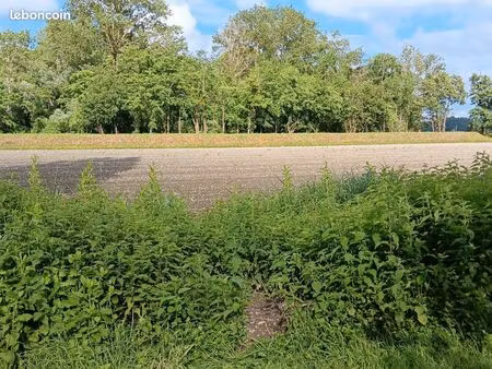 vends terrain agricole 3 7 ha au bord de l'adour à maubourguet