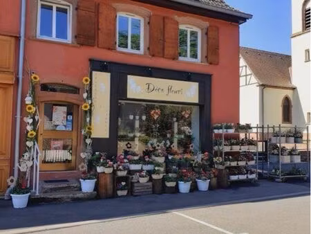fonds de commerce emplacement passant – 42 m² – wingen-sur-moder