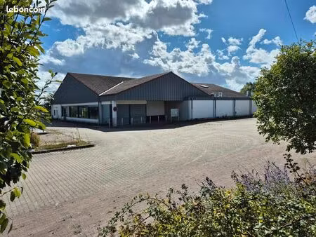 local d'activite 1050 m² pitres