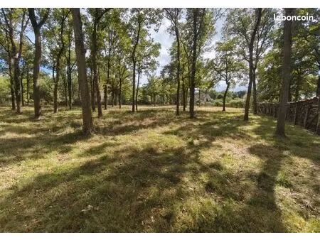 terrain constructible