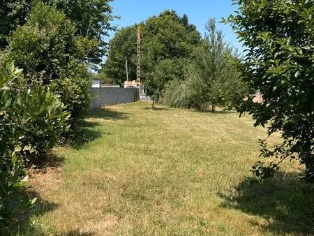 terrain constructible