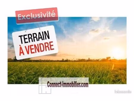 terrain 430 m² verton