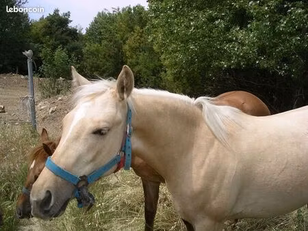 cherche terrain a batir