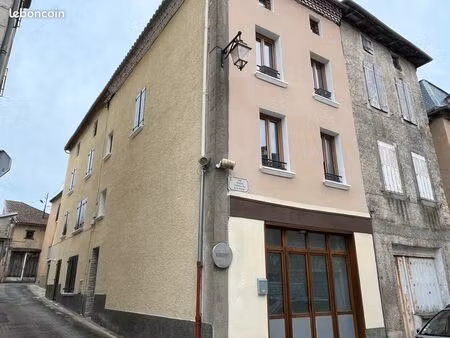 immeuble 202 m² bellac