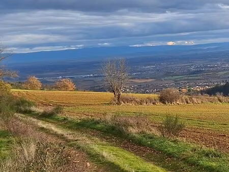 recherche pour achat ou louer terrain pour mouton sur châtel-guyon loubeyrat