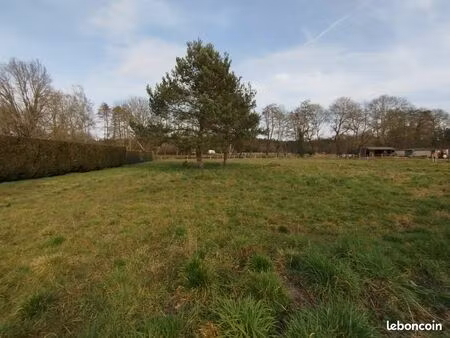 terrain non viabilisé