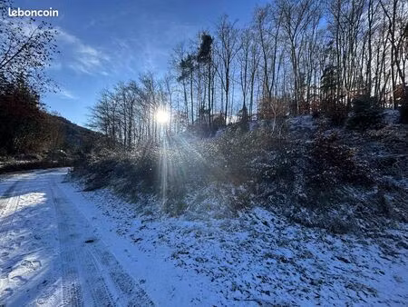 terrain constructible