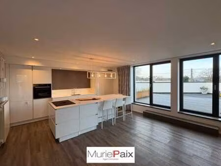 penthouse lumineux une chambre avec grande vaste terrasse