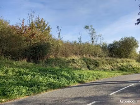 vends terrain boisé