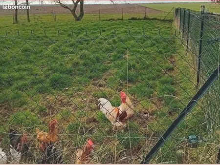 longère de 6 pièces avec dépendances et étang