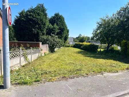 terrain constructible