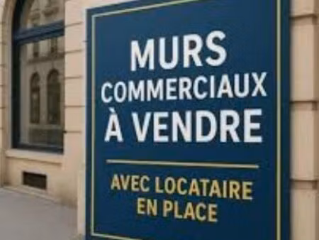 murs commerciaux 831 m² bègles