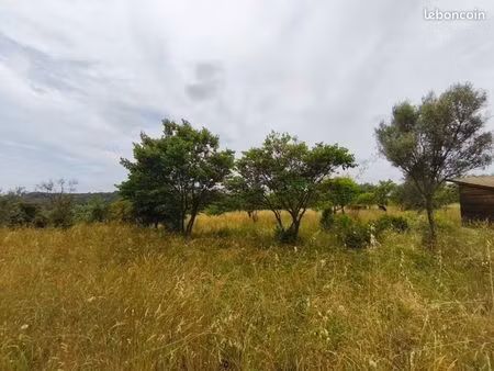 terrain agricole 3 690 m² saint georges d orques