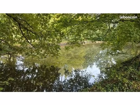 terrain 4800m2   maison et étang