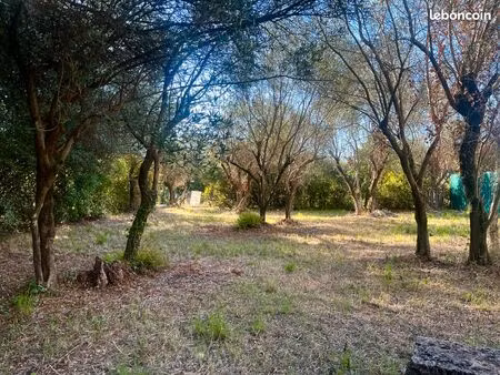 particulier vend terrain saint bauzille de montmel