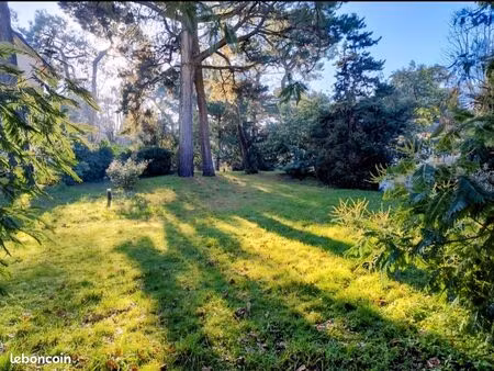 terrain à construire