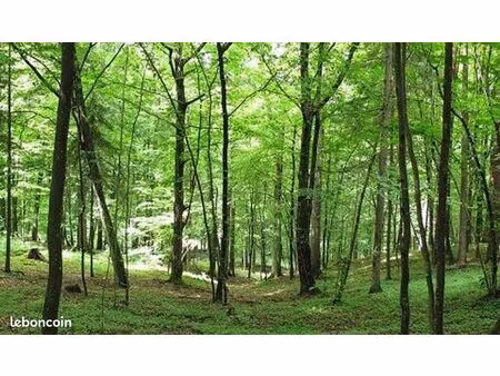 terrain de loisirs boisé 879 m²