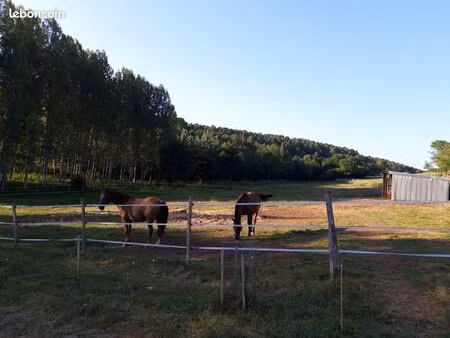 terrain à louer (prairie)