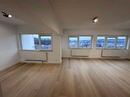 magnifique appartement rénové vue panoramique