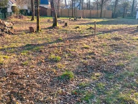 terrain constructible